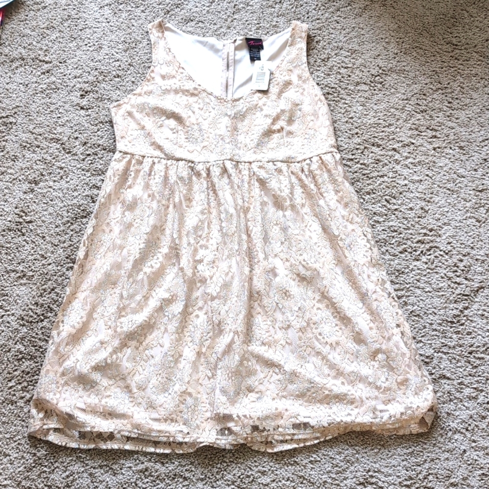 Vintage Torrid Cream and Silver Lurex Lace Dress, NWT, size 18
